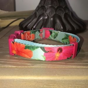 Dog Collar
